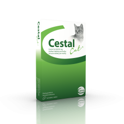 Cestal žuvacie tablety pre mačky 80 mg / 20 mg 8 tbl