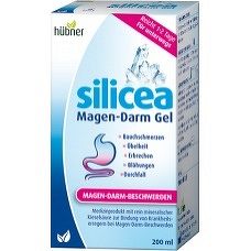 HUBNER SILICEA GASTRO-INTESTINAL GEL