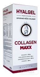 Hyalgel Collagen MAXX 500 ml