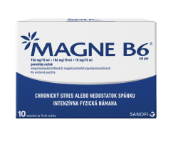 Magne-B6 sol.por. sol.por.10 x 10 ml