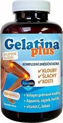 Gelatina plus 360 kapsúl