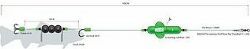 MADCAT Screaming Profi River Rig „Deadbait“ S 20 g 180 cm