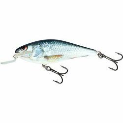 Salmo Executor Shallow Runner 5 cm 5 g Real Dace