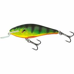 Salmo Executor Shallow Runner 5 cm 5 g Real Hot Perch