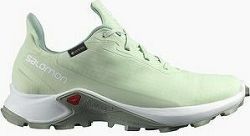 Salomon Alphacross 3 GTX W Spray/Wht/Wroug