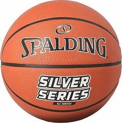 Spalding Silver Series