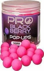 Starbaits Pro Blackberry Pop-Up 60 g