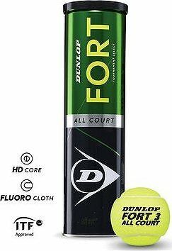 Dunlop Fort all court TS